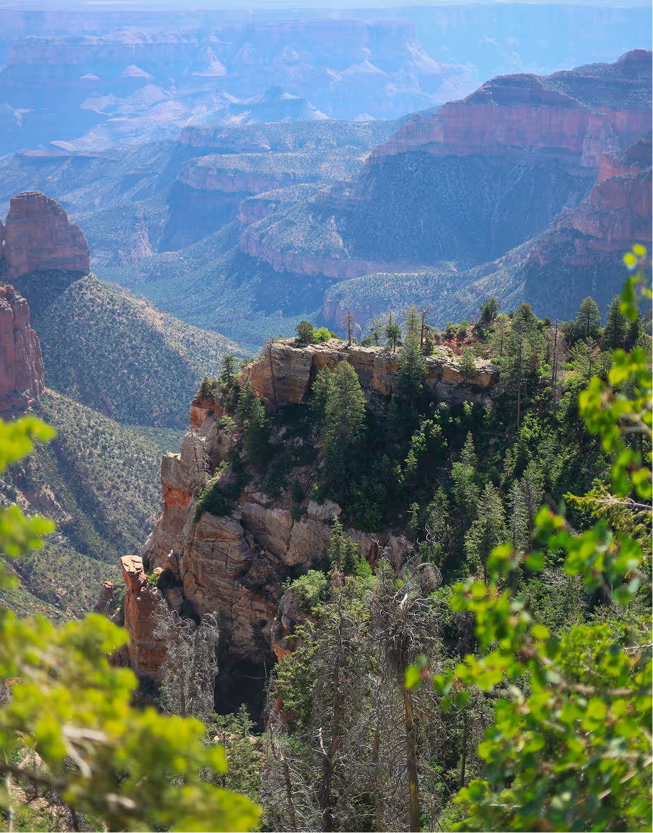 A panoramic view of the Grand Canyon from a lookout, framed by green trees in the foreground against the vast canyon landscape.